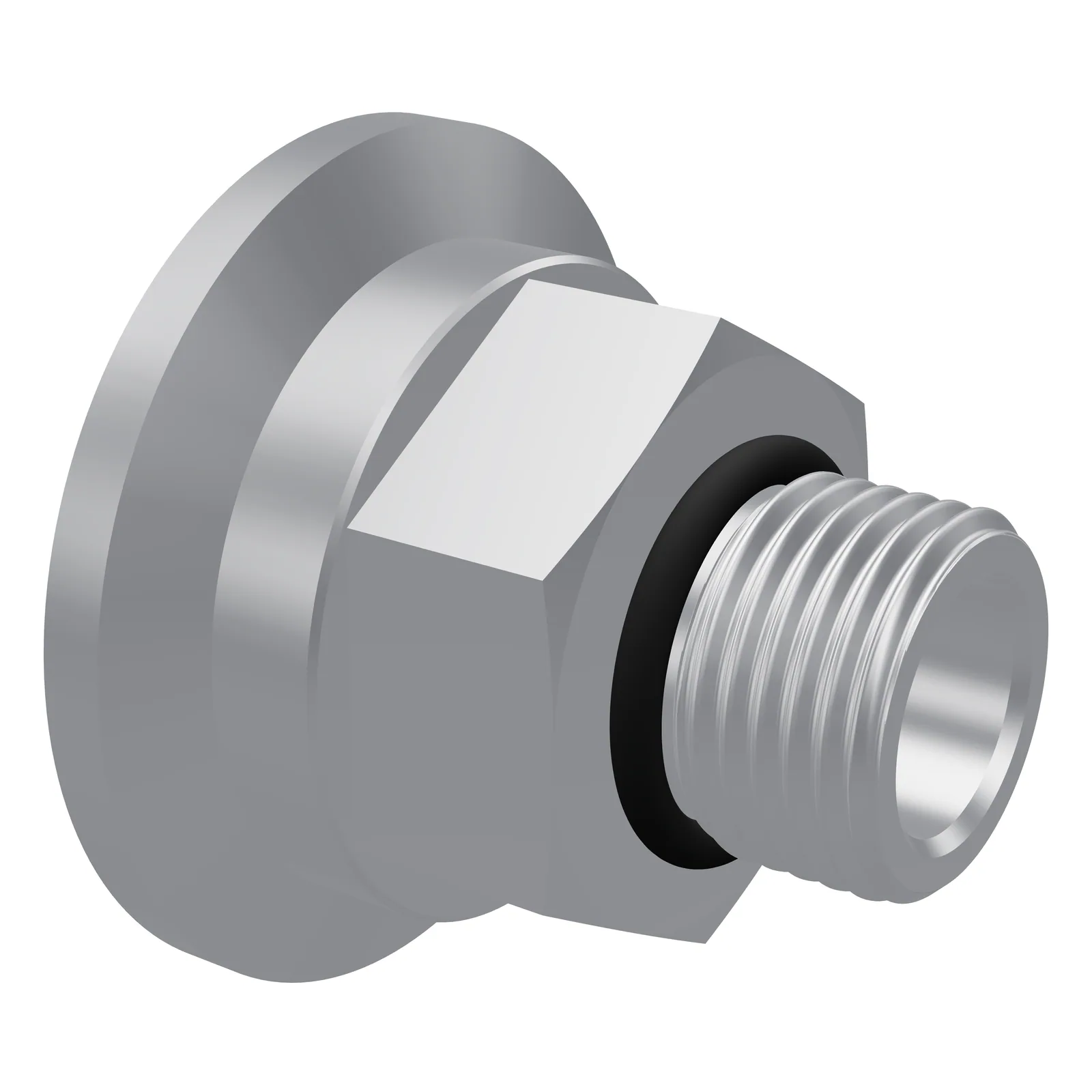1-1/2 in tri-clamp to 1/2 in BSPP adapter